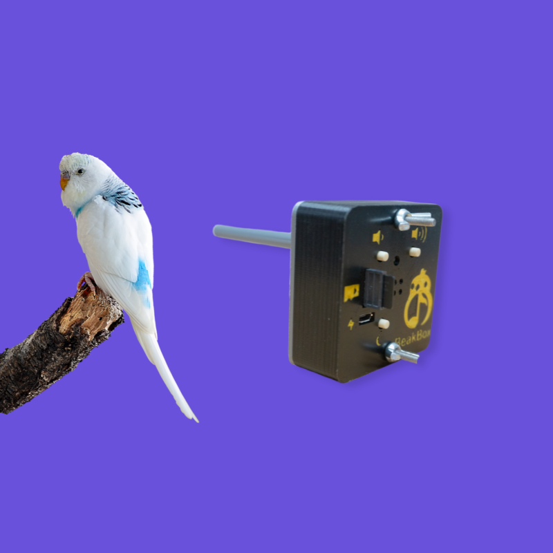 BeakBox Mini for Small Birds